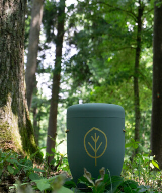 Grüne paxnatura Überurne im Wald