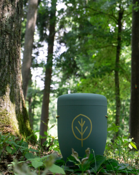 Grüne paxnatura Überurne im Wald